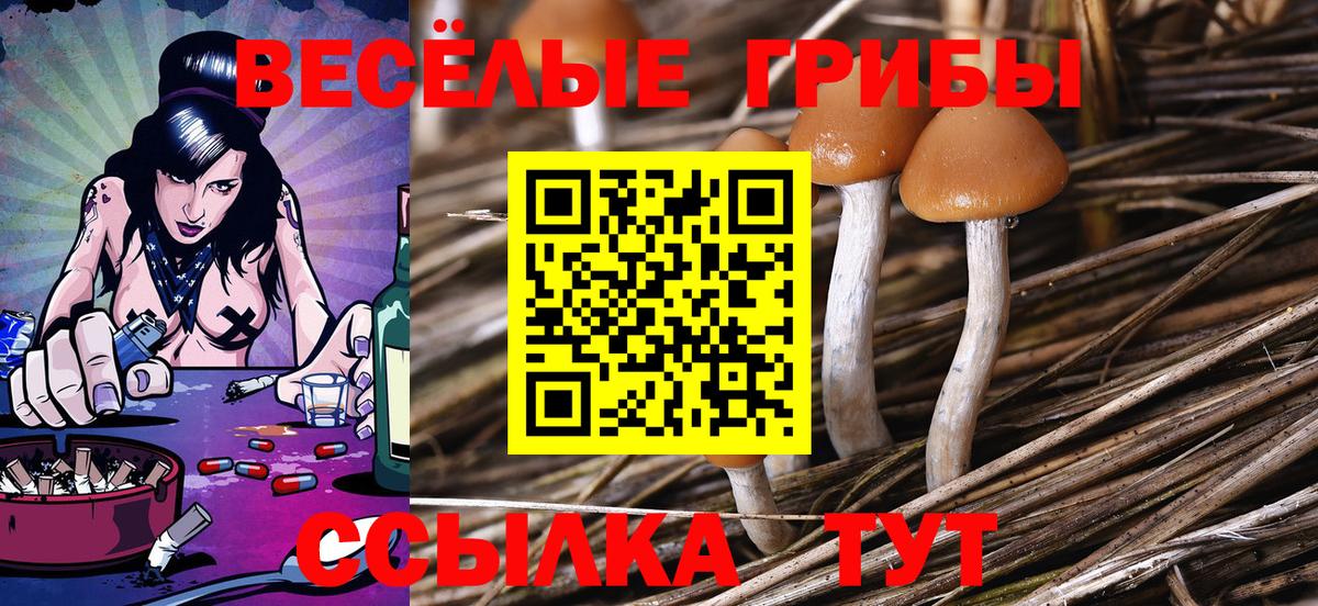 Топки  где продают наркотики  Вход с VPN  Галлюциногенные грибы GOLDEN TEACHER 