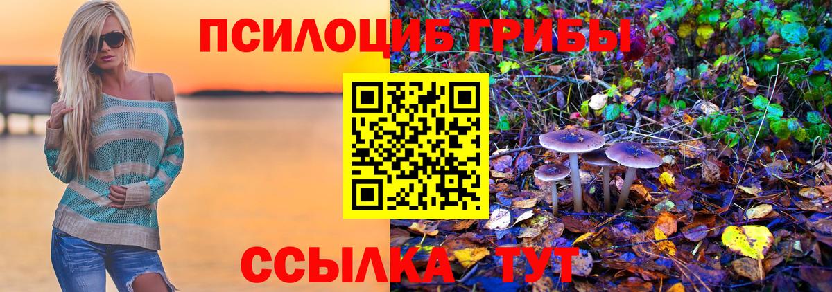 Галлюциногенные грибы мухоморы Топки